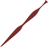Decorative chili pepper